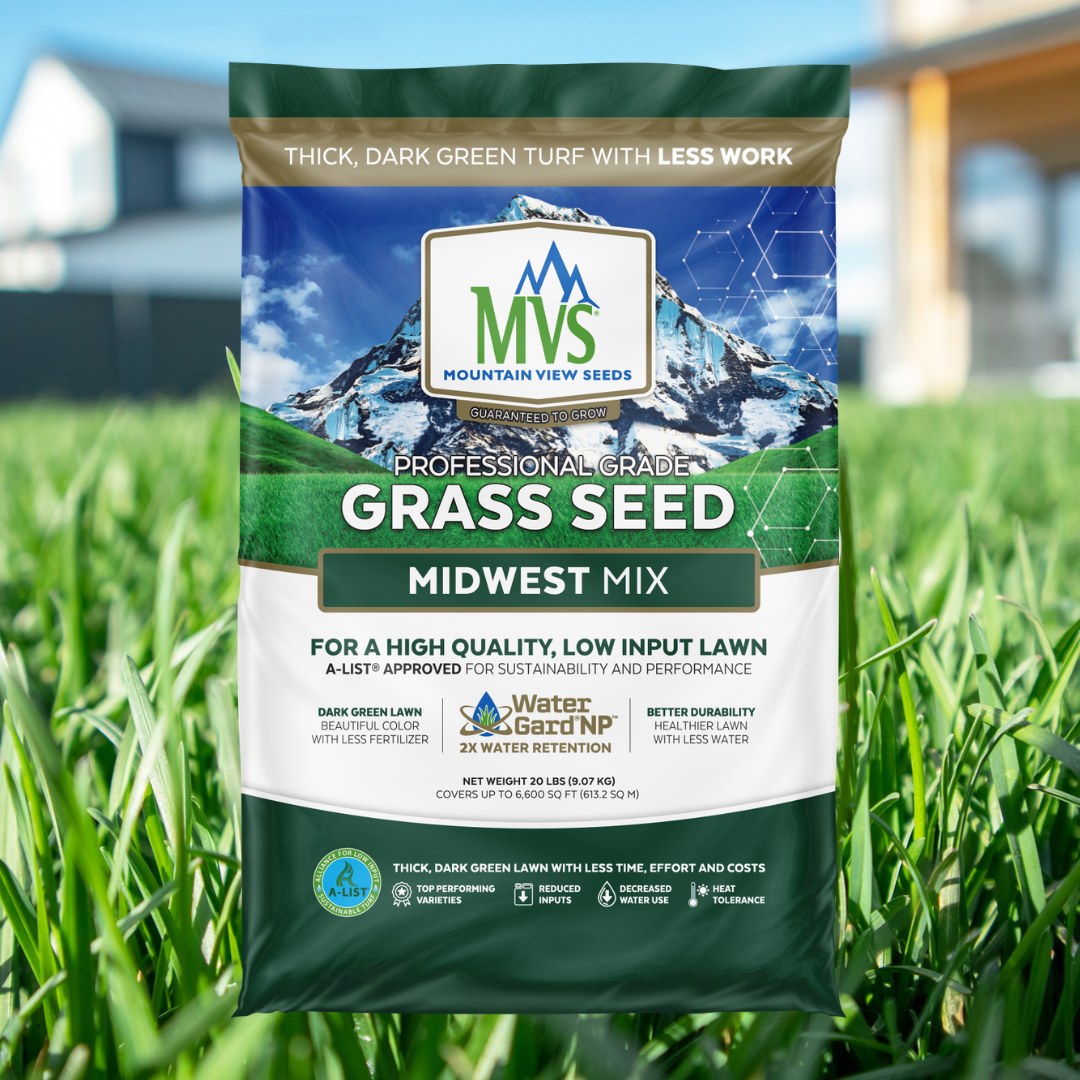 m*f様 2019年 リマスター盤 CD 6枚セットのみ GRASS VALLE m*f様 2019年 リマスター盤 CD 6枚セットのみ GRASS VALLE