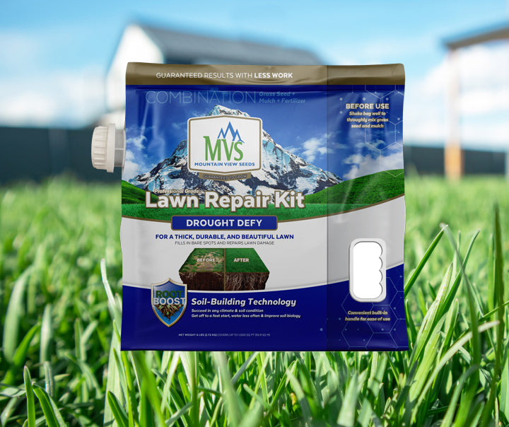 planting grass seed to fill in bare spots Drought Defy Lawn Repair Kit – MVS Lawn