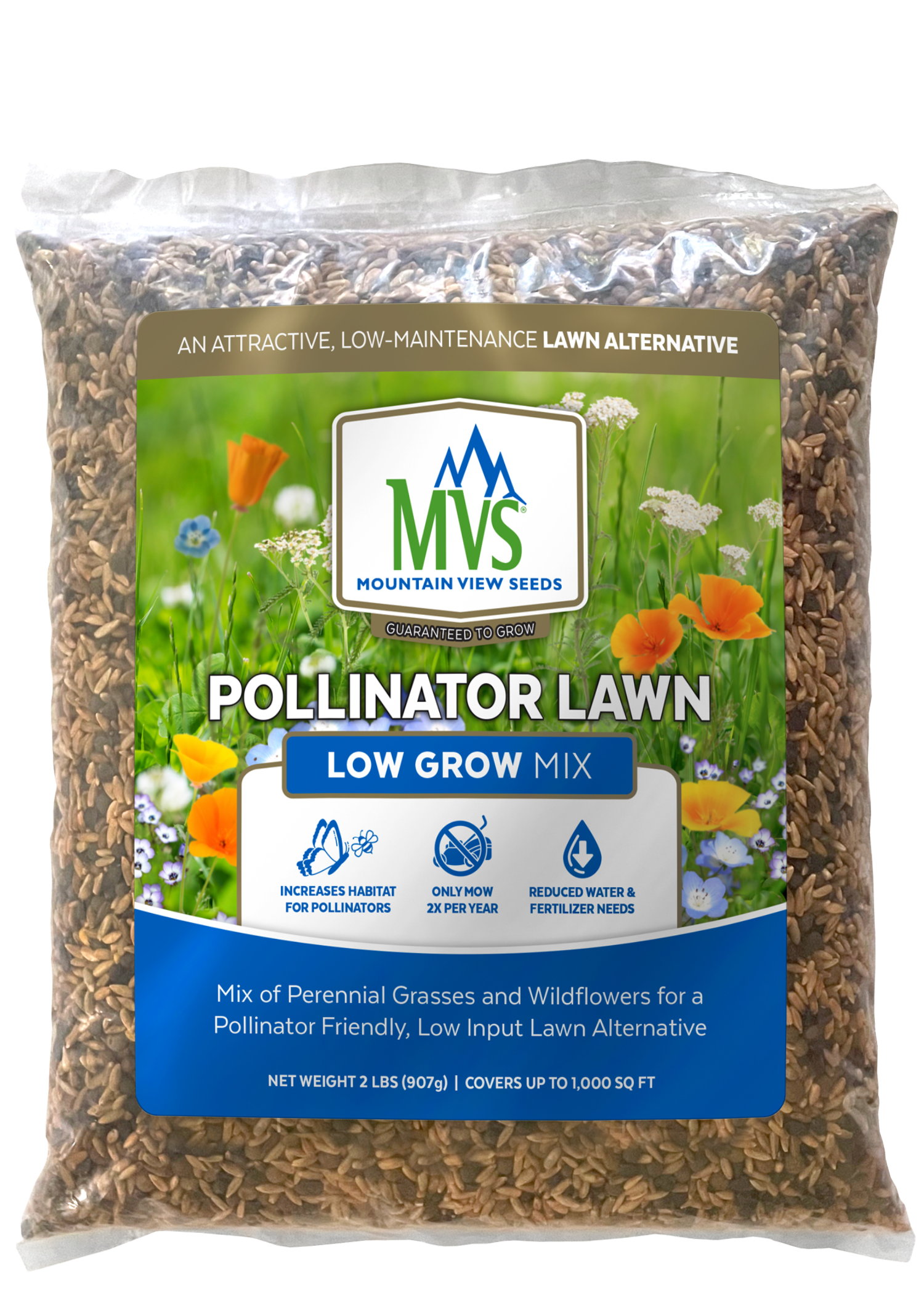 POLLINATOR LAWN – MVS Lawn
