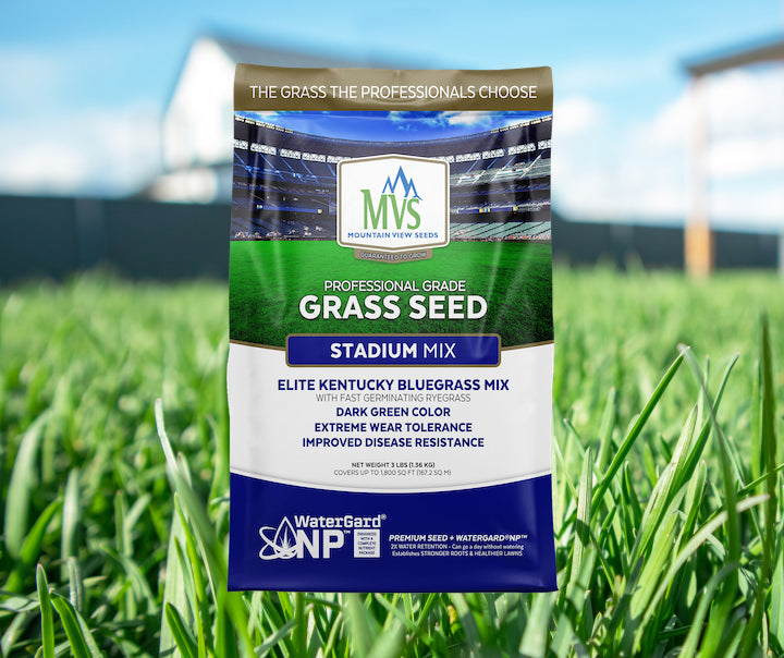 grass seed with low inert matter Professional Grade Grass Seed Used In Iconic Stadiums – MVS Lawn