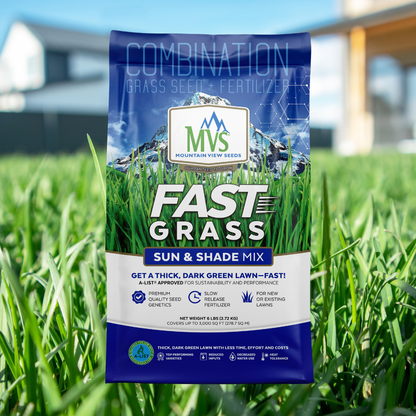 Fast Grass