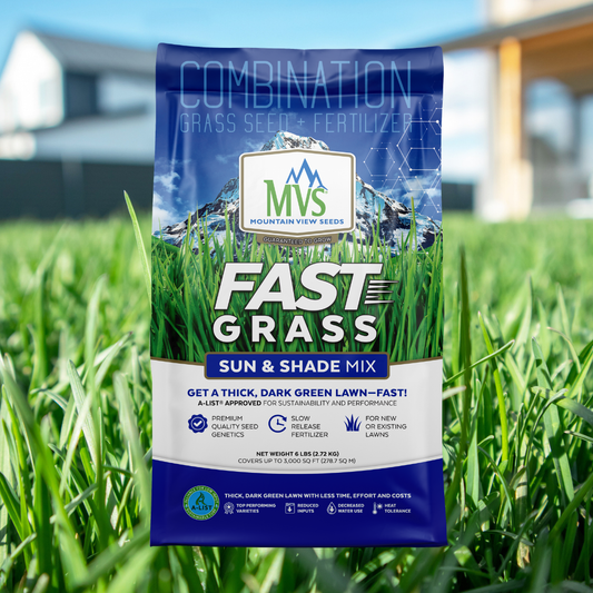 Fast Grass