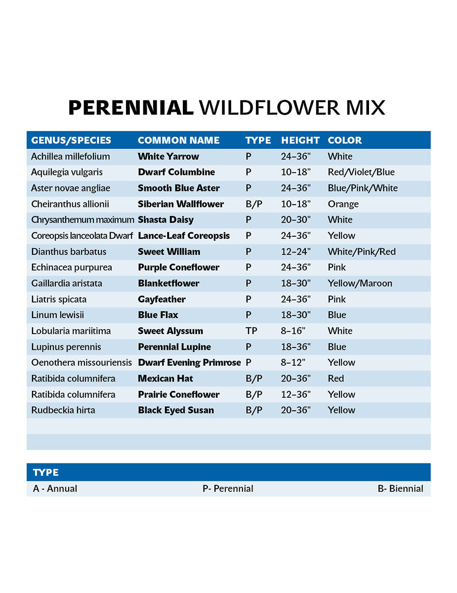 PERENNIAL MIX