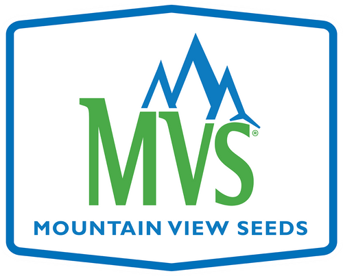 Premium Grass Seed Mix for Beautiful Midwestern Lawns – MVS Lawn