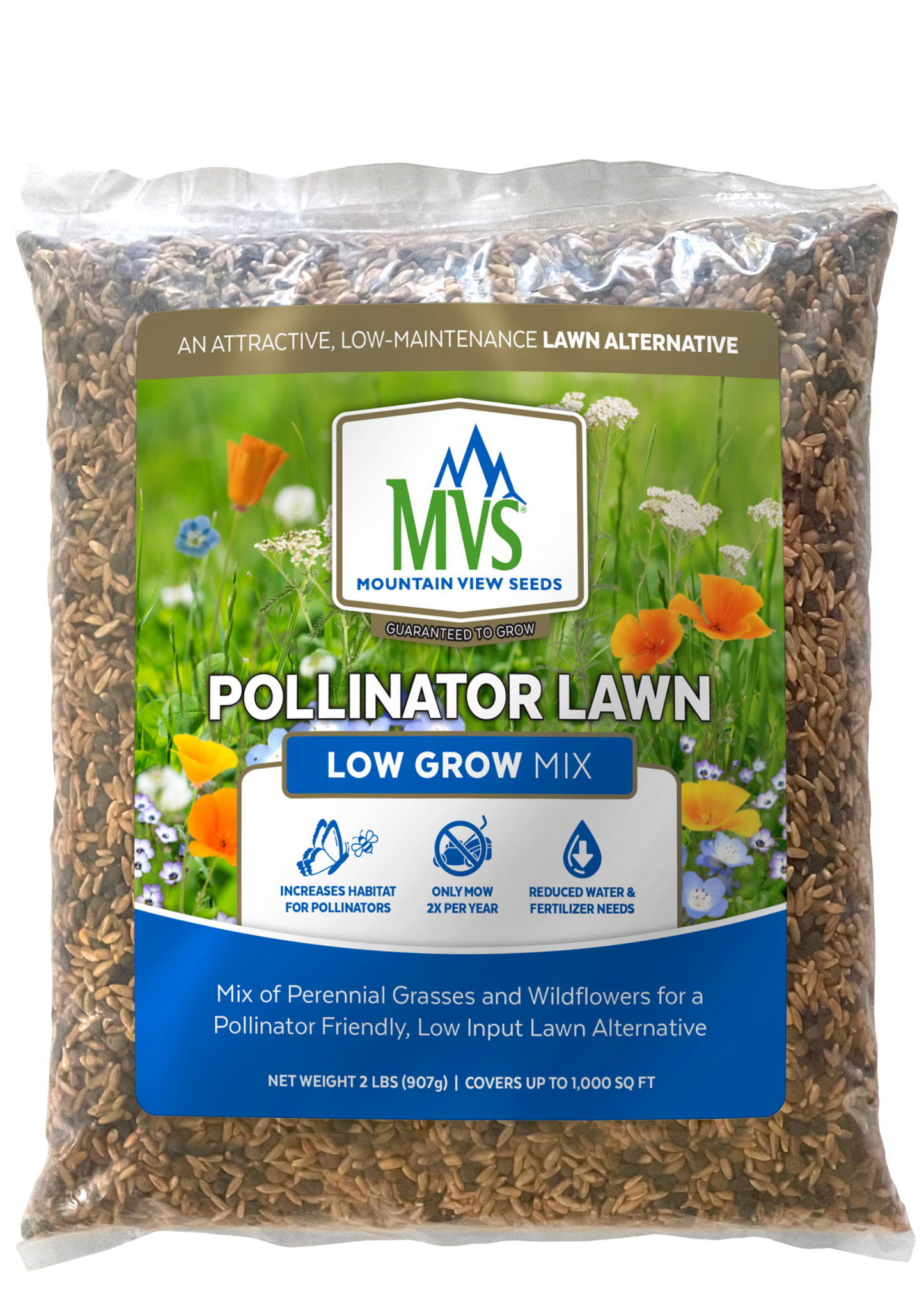 wildflower seeds on lawn POLLINATOR LAWN – MVS Lawn