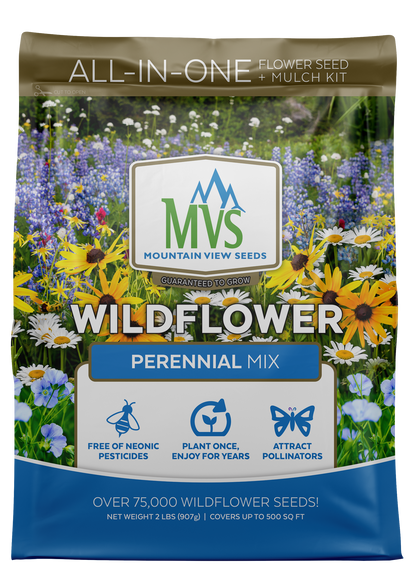 PERENNIAL MIX