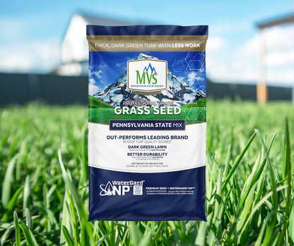shade mix grass seed lowes Premium Pennsylvania Grass Seed Mix for Beautiful Lawns – MVS Lawn