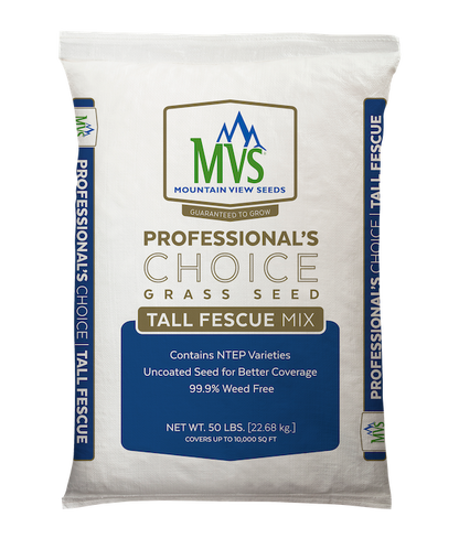 full sun grass seed lowes Professional's Choice Tall Fescue – MVS Lawn