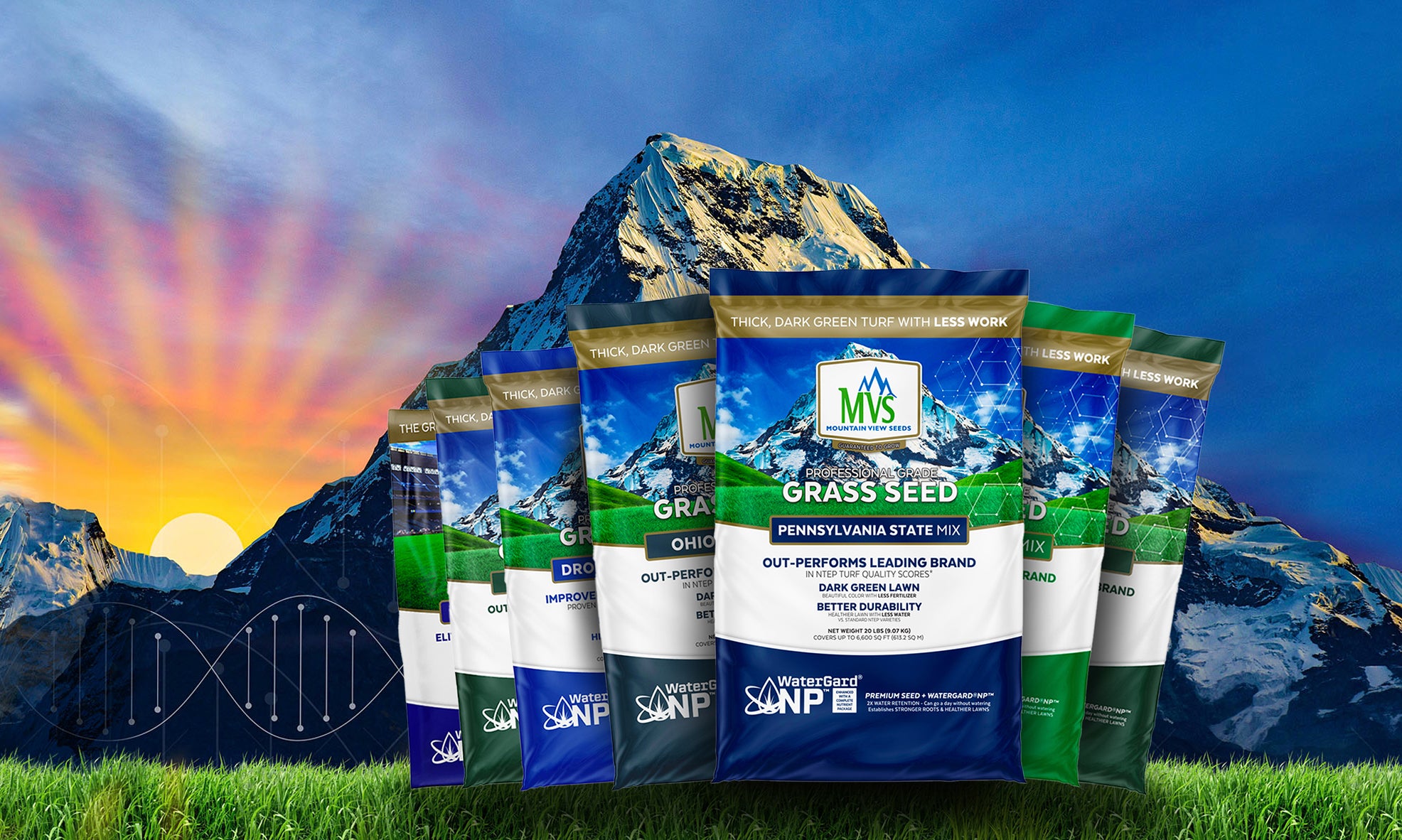 Mountain View Seeds Premium Grass Seeds & Sustainable Lawn Products