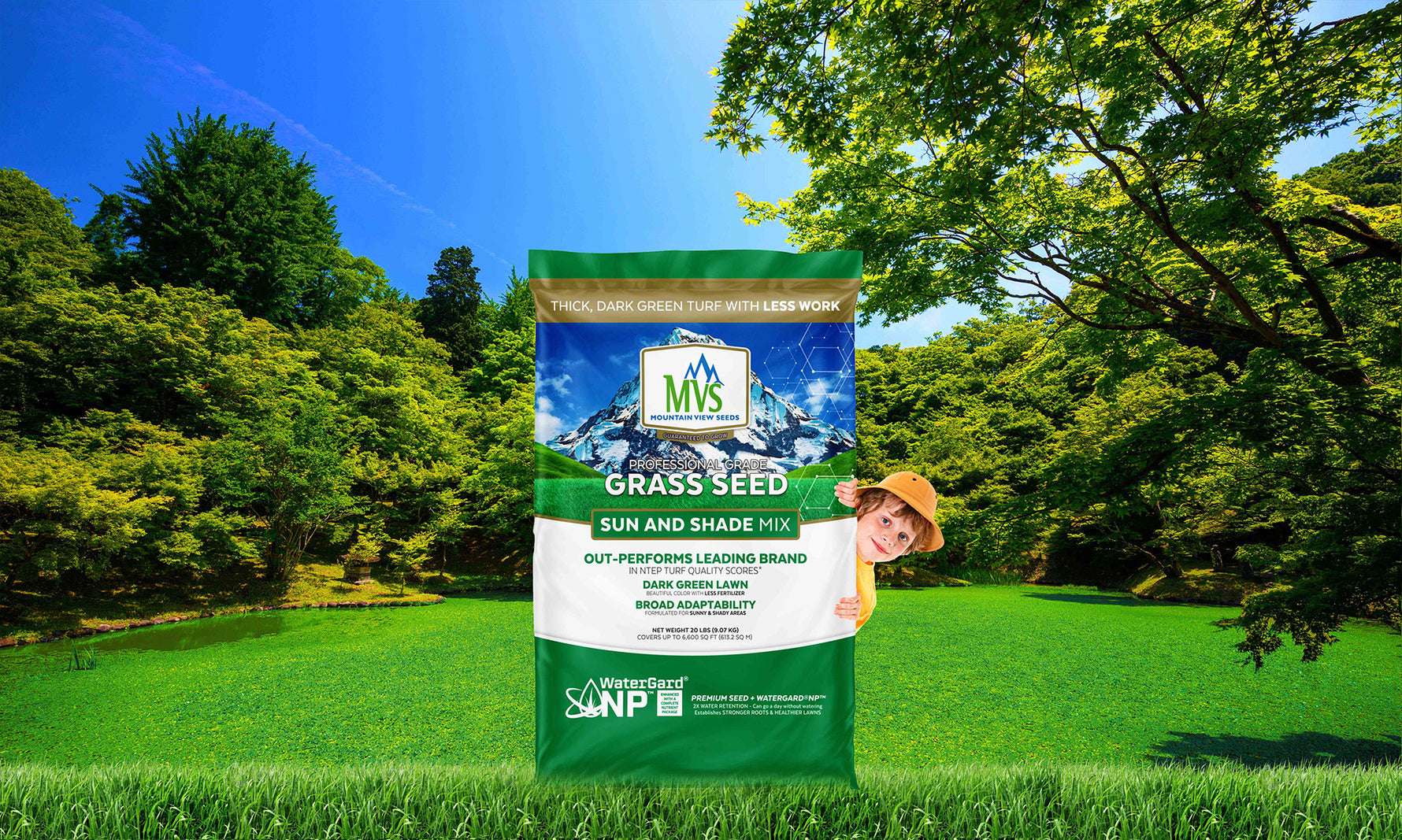 Mountain View Seeds Premium Grass Seeds & Sustainable Lawn Products